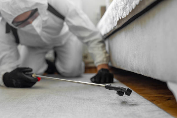 Professional Bed Bug Control technician working in Cherokee County County, SC